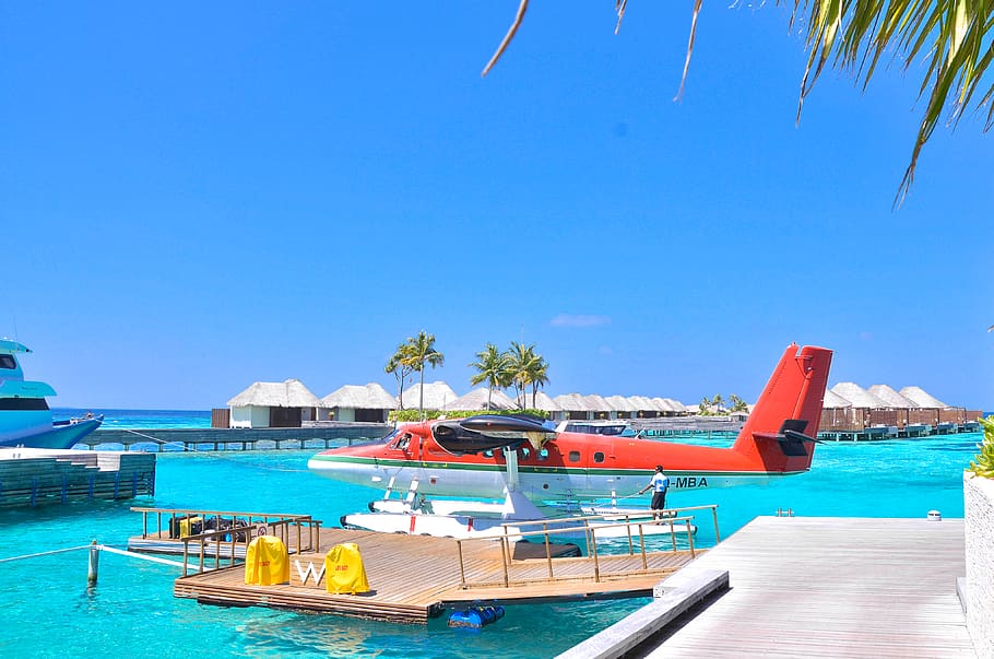 White and Red Seaplane on Body of Water, aircraft, bay, beach