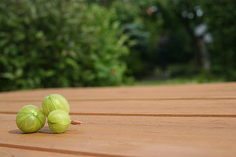 gooseberry, garden, the background, dining table, plants, green HD wallpaper
