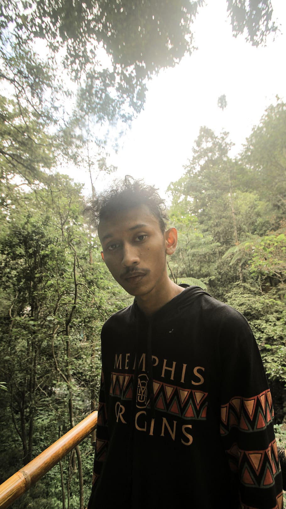 potrait, man, tree, urban, wild, forest, waterfall, one person HD wallpaper