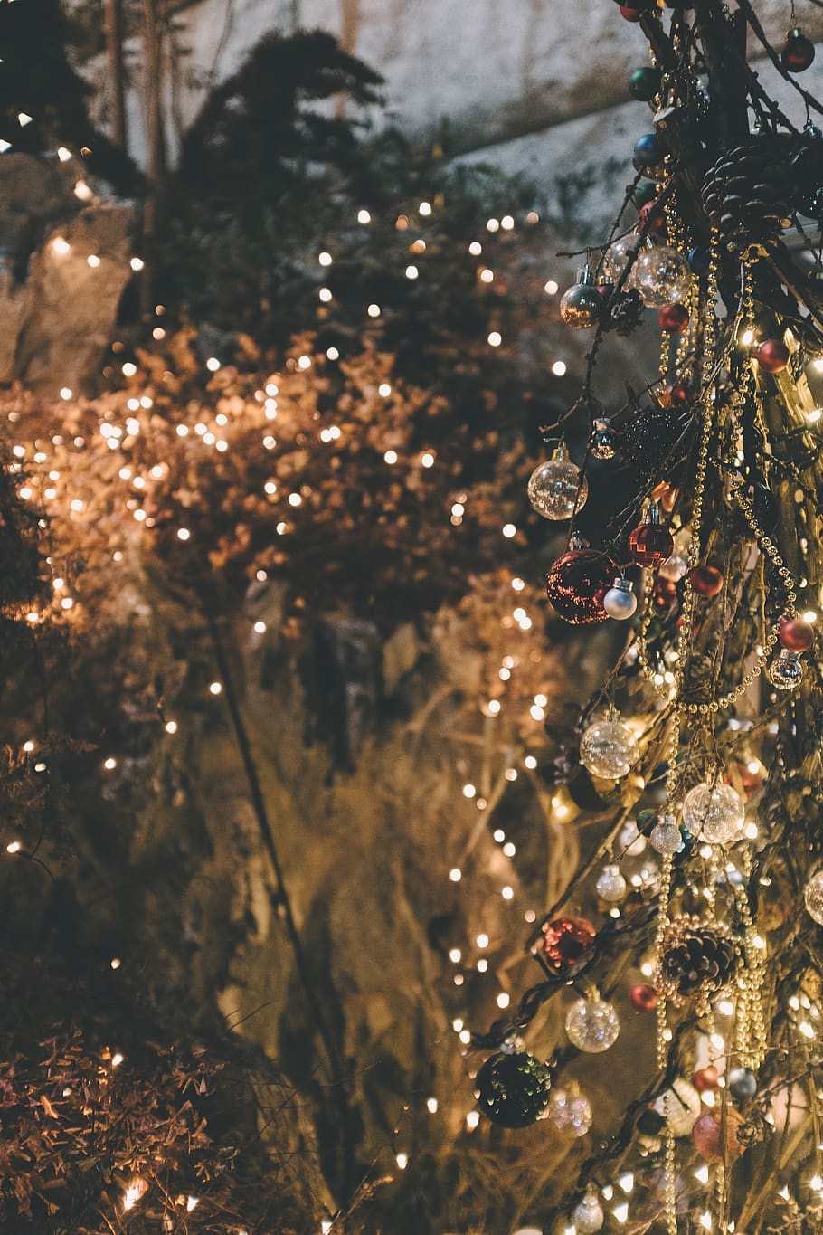 lighted string lights on green tree, christmas, christmas decoration HD wallpaper