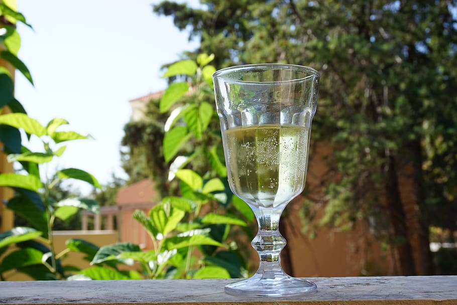 holiday, wine, cheers, glass, drink, food and drink, refreshment HD wallpaper