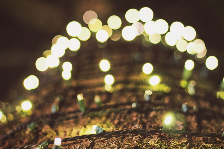 christmas, lights, tree, winter, santa, illuminated, night HD wallpaper