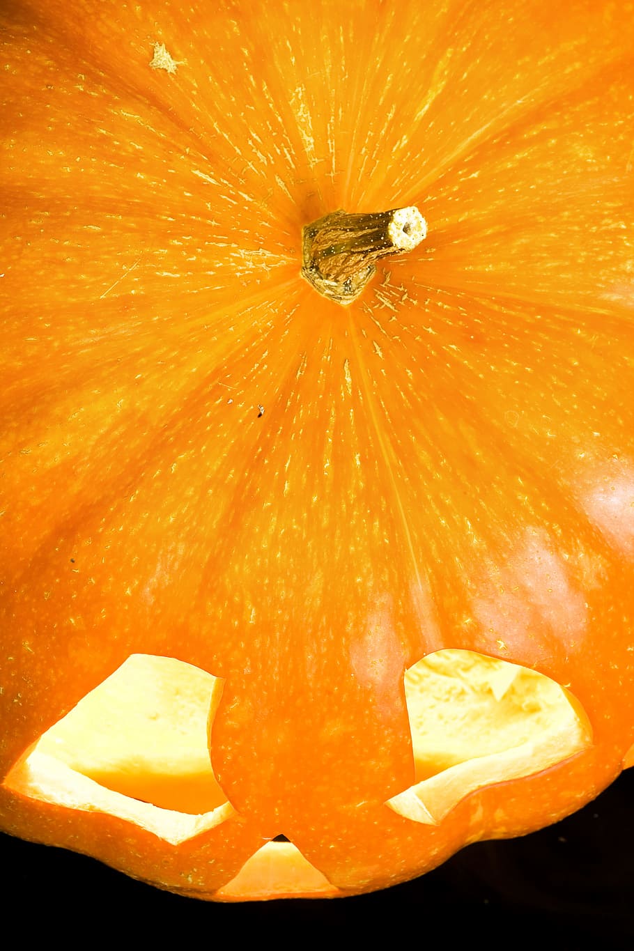 pumpkin, jack, latern, halloween, fruit, orange color, food HD wallpaper