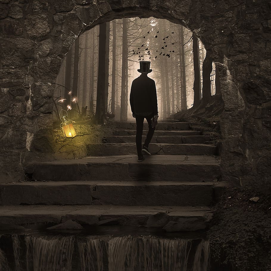manipulation, cave, stairs, forest, wood, lamp, birds, architecture HD wallpaper