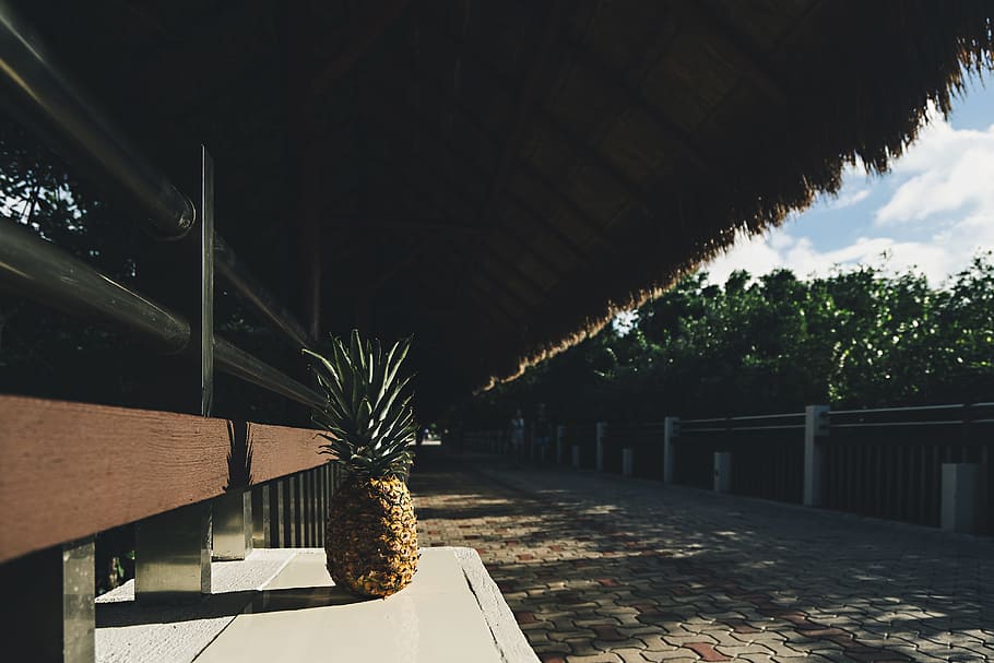 pineapple, dessert, appetizer, fruit, juice, crop, architecture HD wallpaper