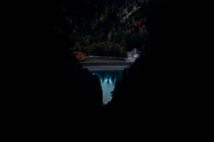 body of water near trees view, valley, forest, woodland, outdoors HD wallpaper