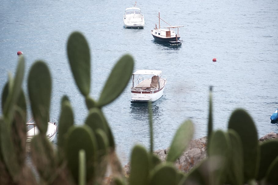 spain, costa brava, water, nautical vessel, transportation HD wallpaper