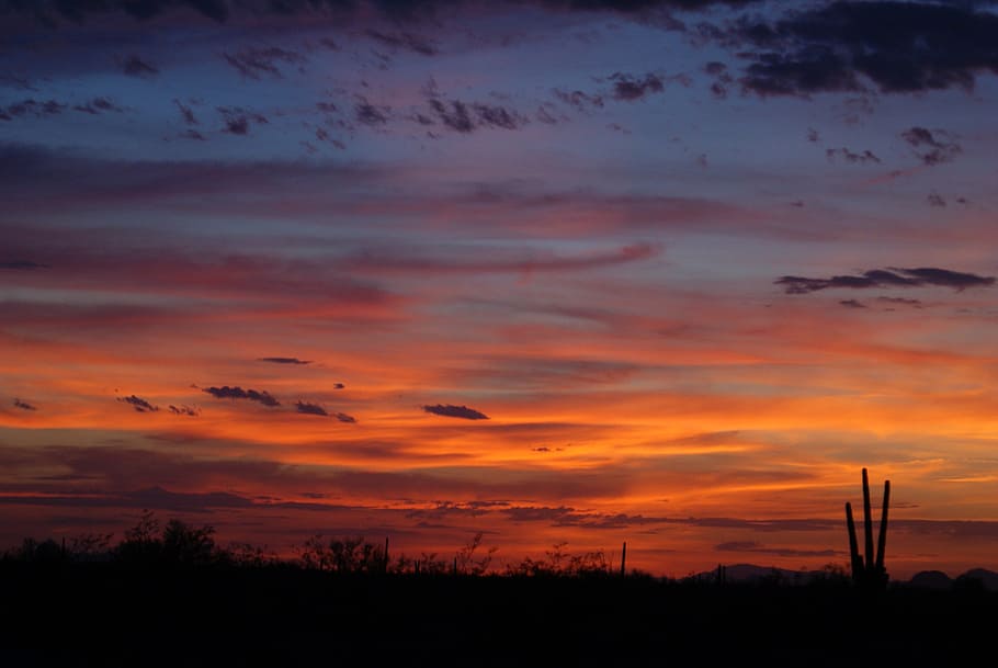 horizon, cloud, sky, sunrise, sunset, prairie, morning, dawn HD wallpaper