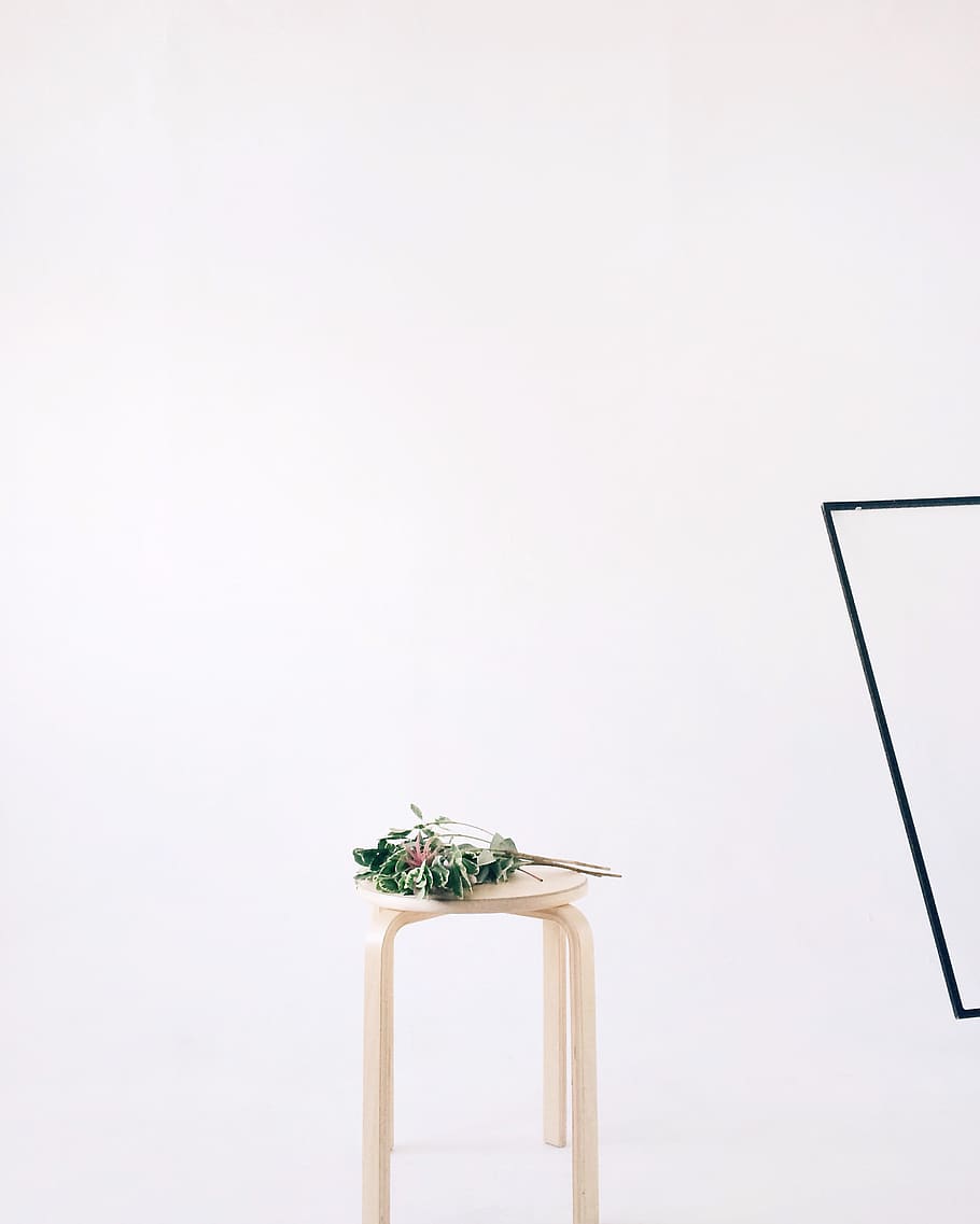 Green Leaves on Round Beige Wooden Stool Chair, conceptual, empty HD wallpaper
