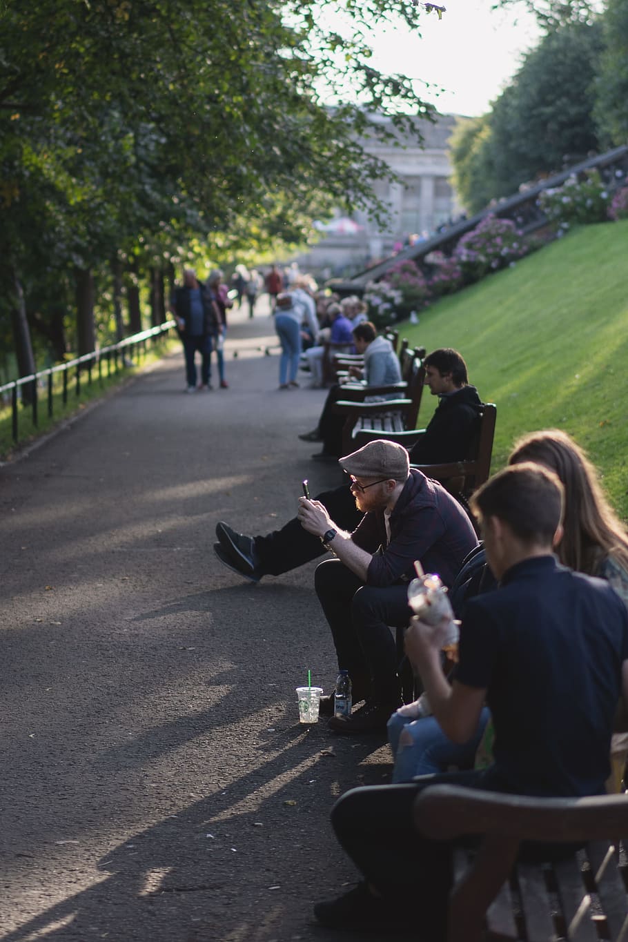 group of people sitting on park beside pathway during daytime HD wallpaper