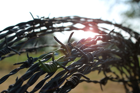 barbed wire, backlighting, sunrise, close up, flares, morgenstimmung HD wallpaper
