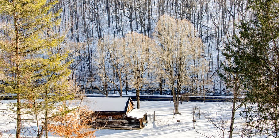 winter, snow, cabin, trees, plant, cold temperature, nature HD wallpaper