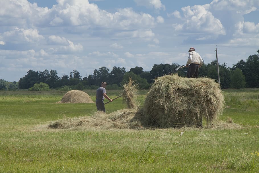 village, rick, work, grass, haymaking, nature, landscape, summer HD wallpaper