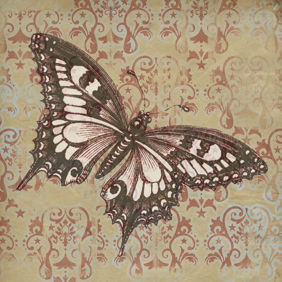wild, fly, butterfly, insect, animal, graphic, pattern, art and craft HD wallpaper