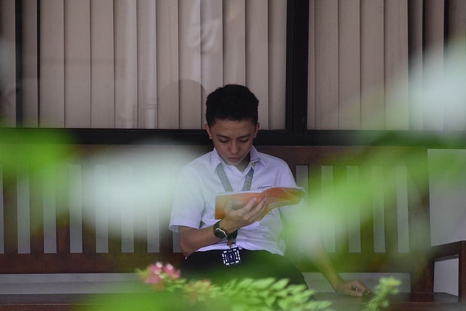 Boy Wearing White Polo , kid, learning, person, reading, student HD wallpaper
