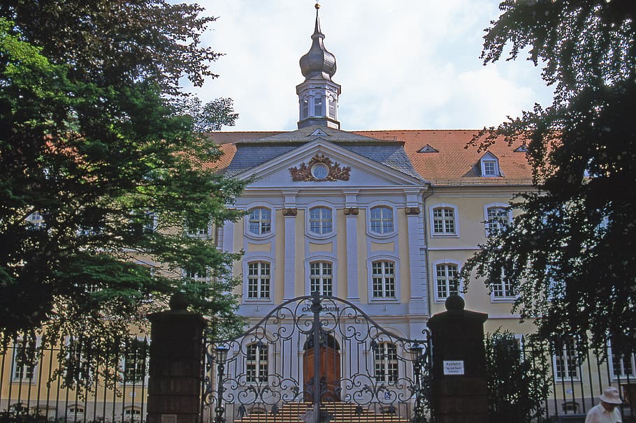 germany, heidelberg, tree, building exterior, plant, built structure HD wallpaper