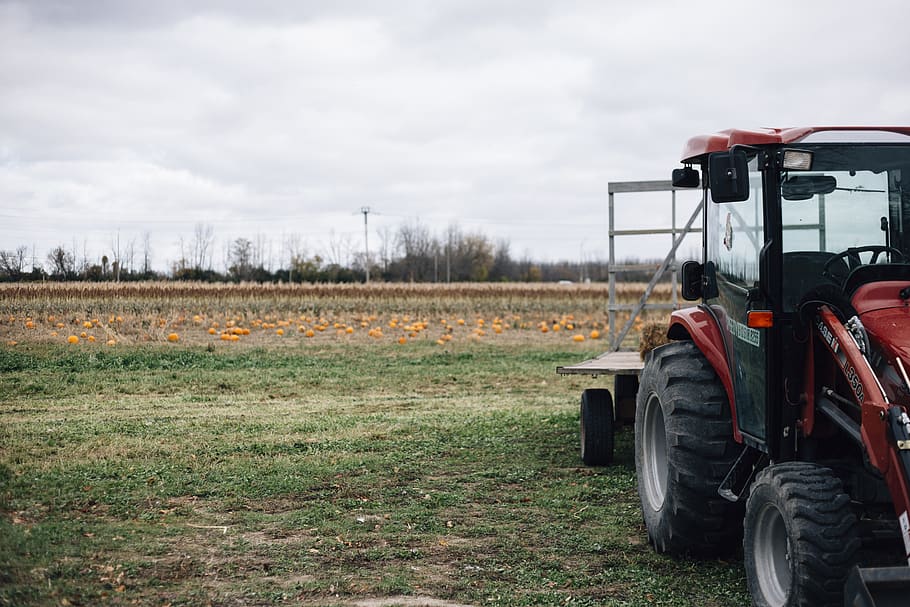 tractor, farm, pumpkin, pumpkin patch, cloudy, fall, field HD wallpaper