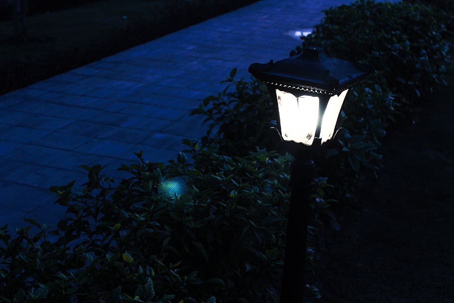 night, moonlight, lamp, lighting equipment, illuminated, street HD wallpaper