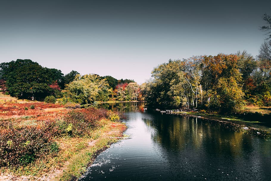 Photo of River During Daytime, 4k wallpaper, environment, forest HD wallpaper