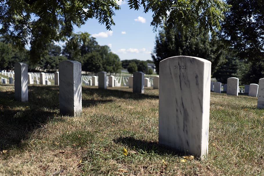 view, soldier, plant, cemetery, stone, grave, tombstone, tree HD wallpaper