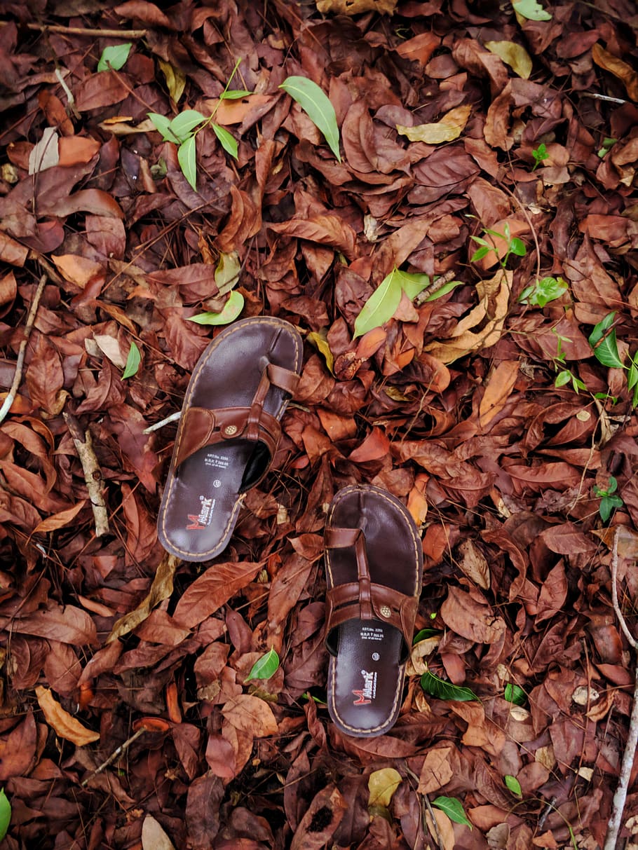 Brown Leather Sandals, dry leaves, fall, footwear, ground, slippers HD wallpaper