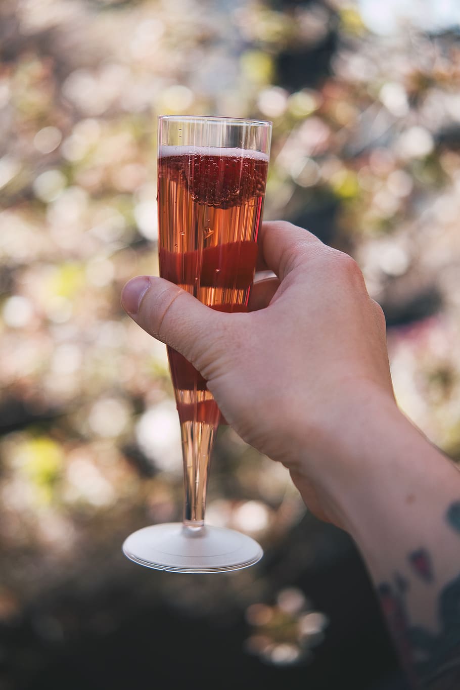 Person Holding Wine Glass, beverage, celebration, cheers, drink HD wallpaper