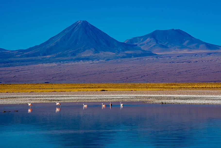 socaire, desert, chile, mountain, water, scenics - nature, sky HD wallpaper