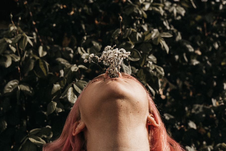 human, person, neck, head, plant, hair, blossom, flower, back HD wallpaper