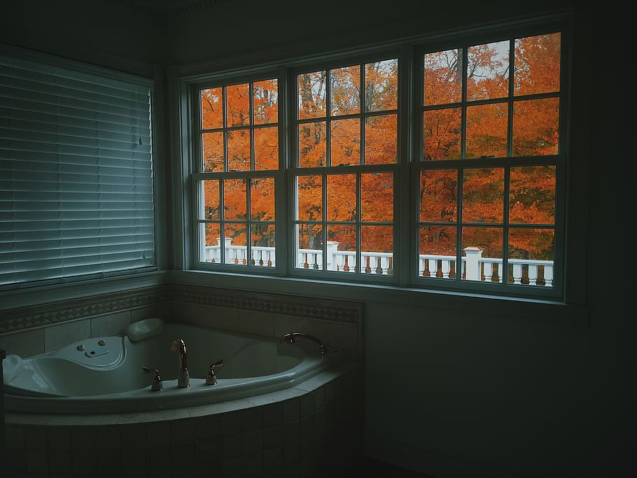 fall, leaves, window, indoors, bathroom, domestic room, glass - material HD wallpaper