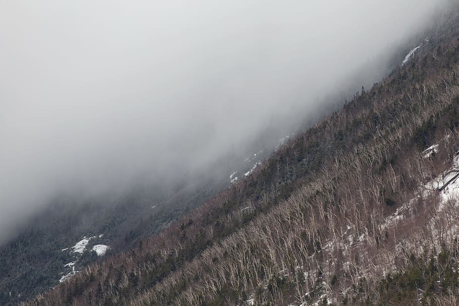 Photo of Mountain Slope, cold, fog, forest, landscape, mist, nature HD wallpaper