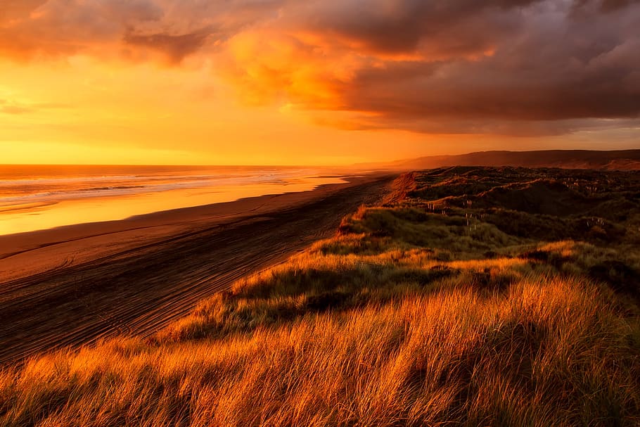 Grass Field Near Body of Water, backlit, beach, beautiful, clouds HD wallpaper