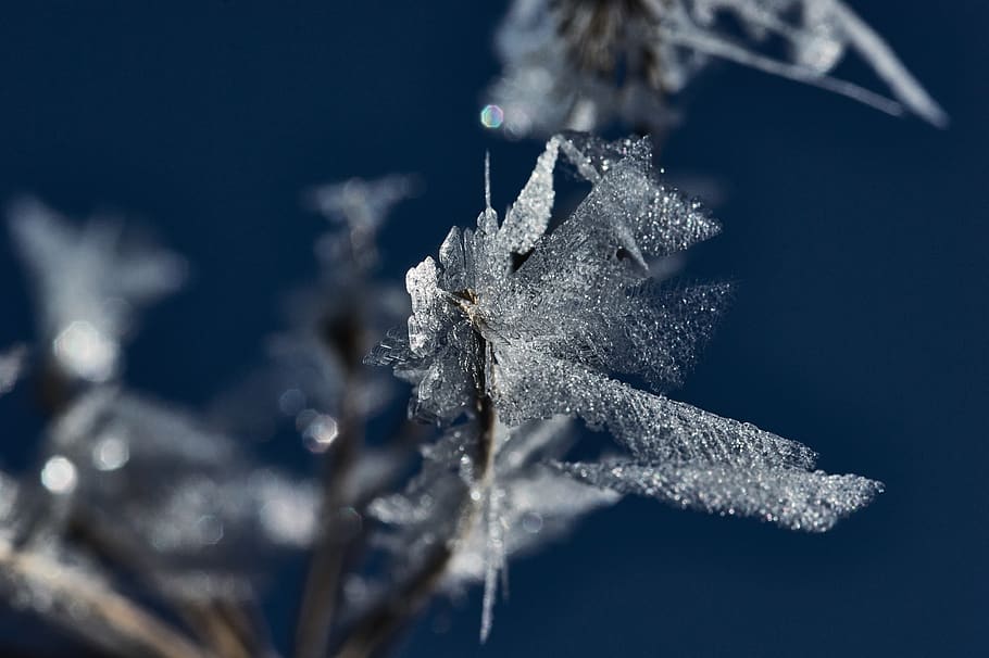 ice flakes, snow, crystal, winter, cold, cold temperature, frozen HD wallpaper