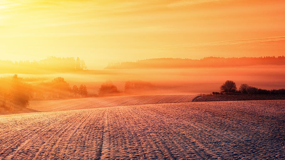 Sunset View on the Forest, backlit, dawn, evening, field, fog HD wallpaper