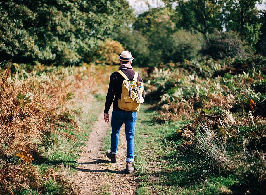 Man Walking on Road Surrounded by Trees, adult, adventure, backpack HD wallpaper