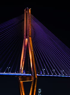 lighted cable-stayed bridge during night, building, south korea HD wallpaper