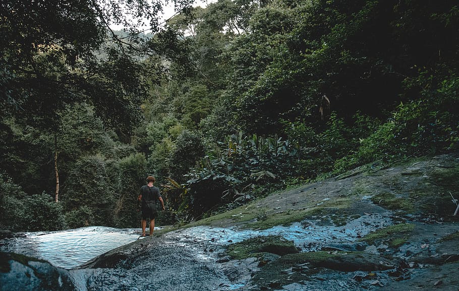 australia, foxground, waterfall, sam, tropical, rainforest HD wallpaper