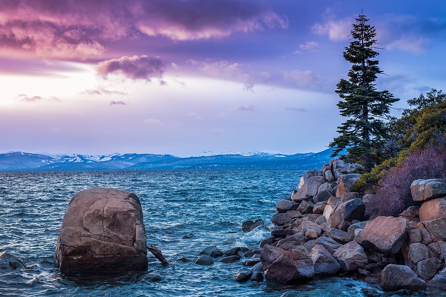 lake, trees, water, lake tahoe, sunset, winter, rock, rocks HD wallpaper