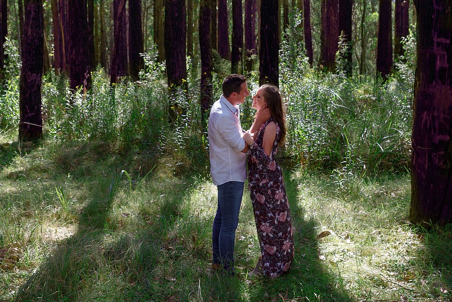 forest, trees, lovers, sunlight, kiss, embrace, tender, two people HD wallpaper