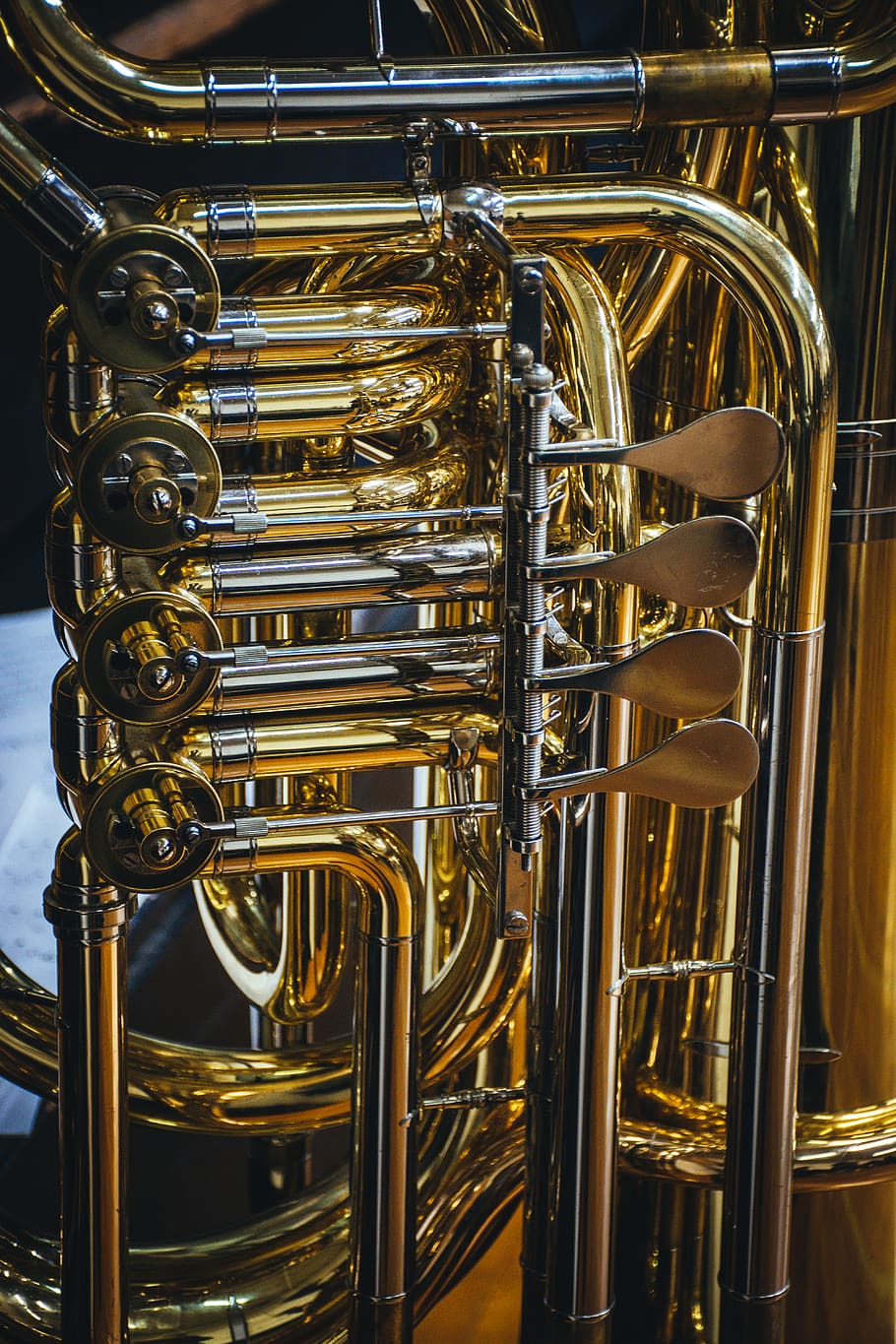 tuba, musical instrument, euphonium, brass section, horn, flugelhorn