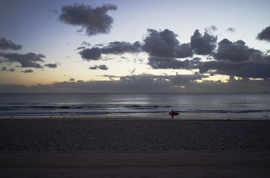 australia, manly beach, clouds, surf, surfer, morning, waves