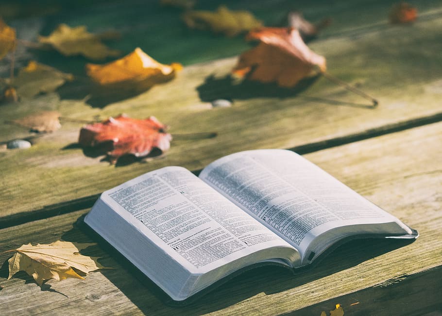open bible book on brown wooden panel, leaves, paper, autum, fall, HD wallpaper