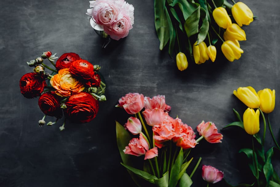 Colorful flowers on grey background with copy space, bloom, floral HD wallpaper