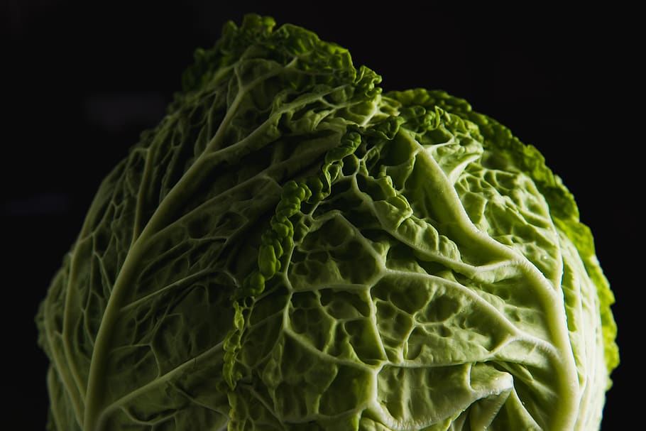 green cabbage, vegetable, healthy eating, studio shot, food and drink HD wallpaper
