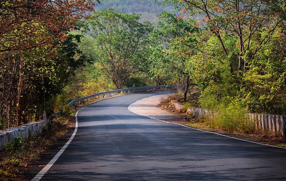 nature, tree, road, wood, guidance, direction, the way forward HD wallpaper