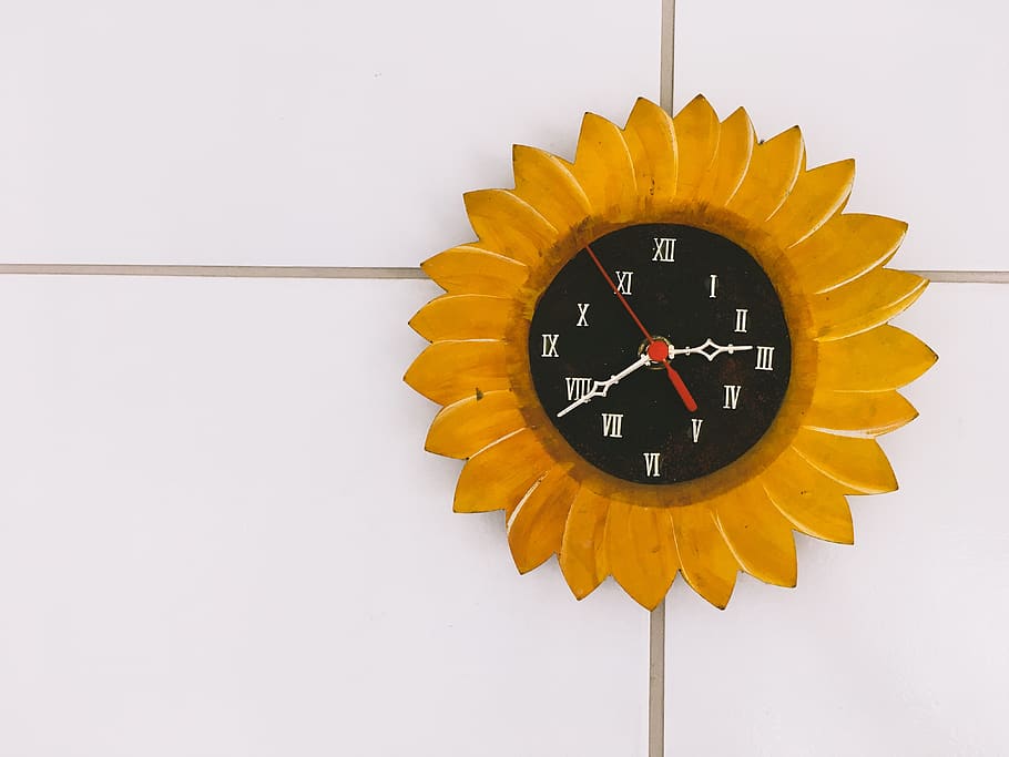 Flower Wall Clock, time, no people, wall - building feature, indoors HD wallpaper