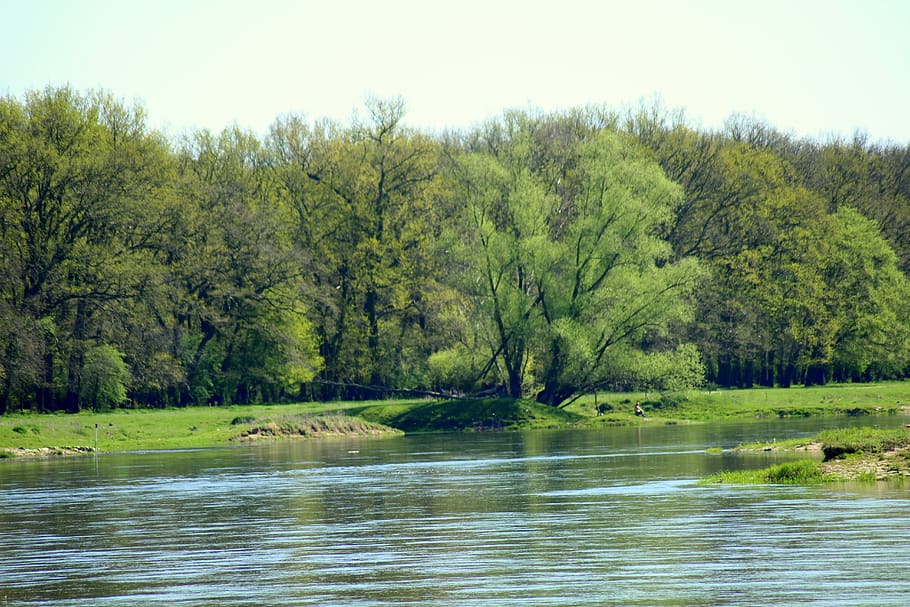 river, water, measles, current, spring, landscape, scenery HD wallpaper