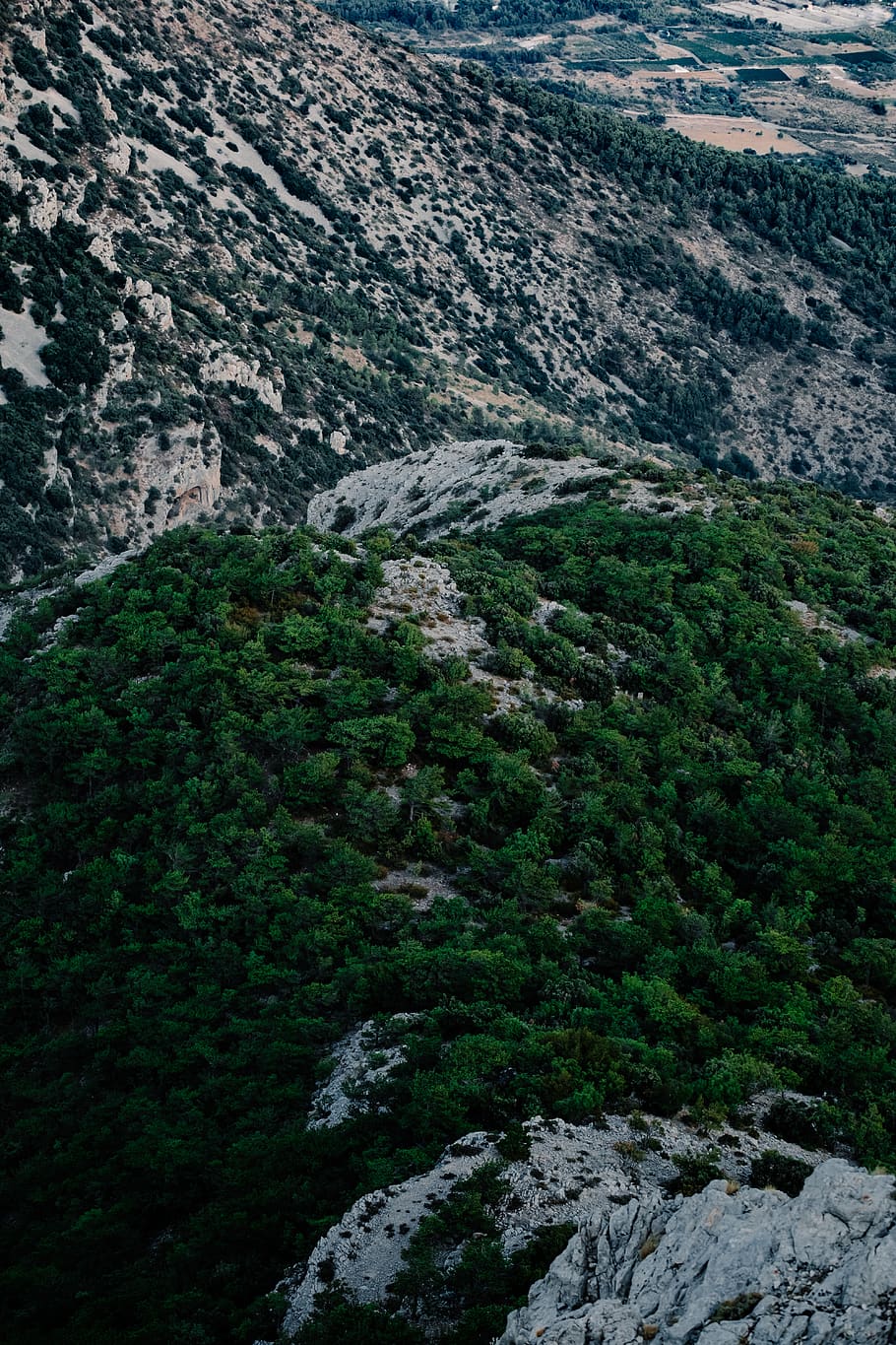 croatia, brač, mountain, beauty in nature, plant, scenics - nature HD wallpaper