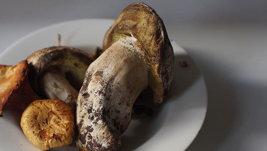 mushrooms, food and drink, freshness, close-up, indoors, bread HD wallpaper