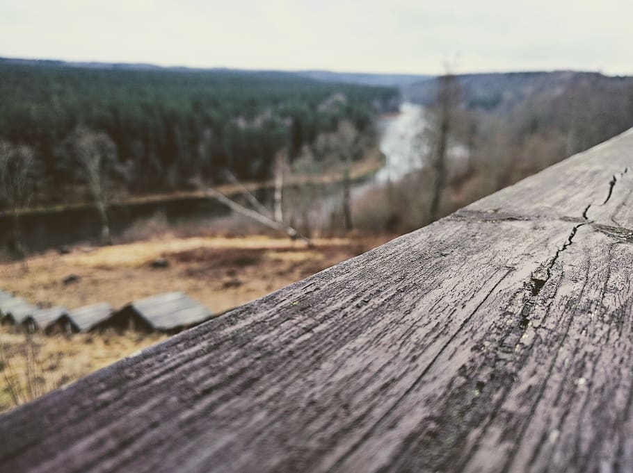 Out of Focus Image of Cottage Rooftops, blur, environment, forest HD wallpaper