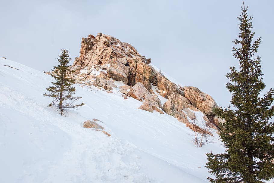 mountain, winter, snow, high, extreme, trees, mountaineering HD wallpaper